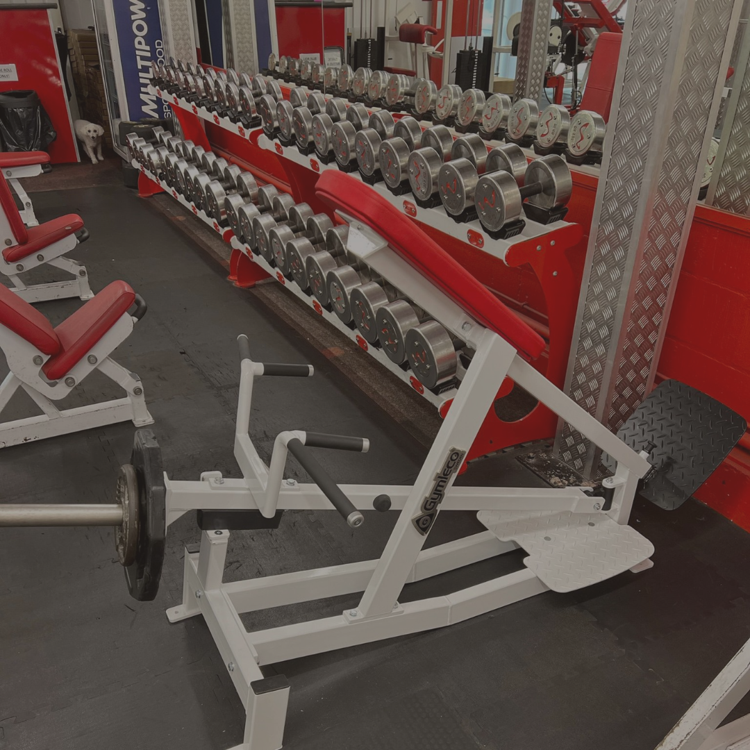 Chest Supported Row Weight Training Room