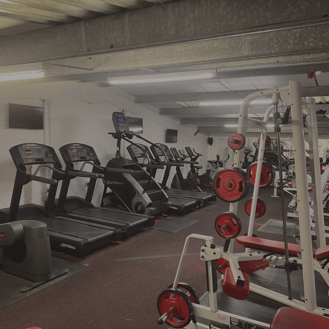 Treadmills and other cardio equipment in Cardio Room