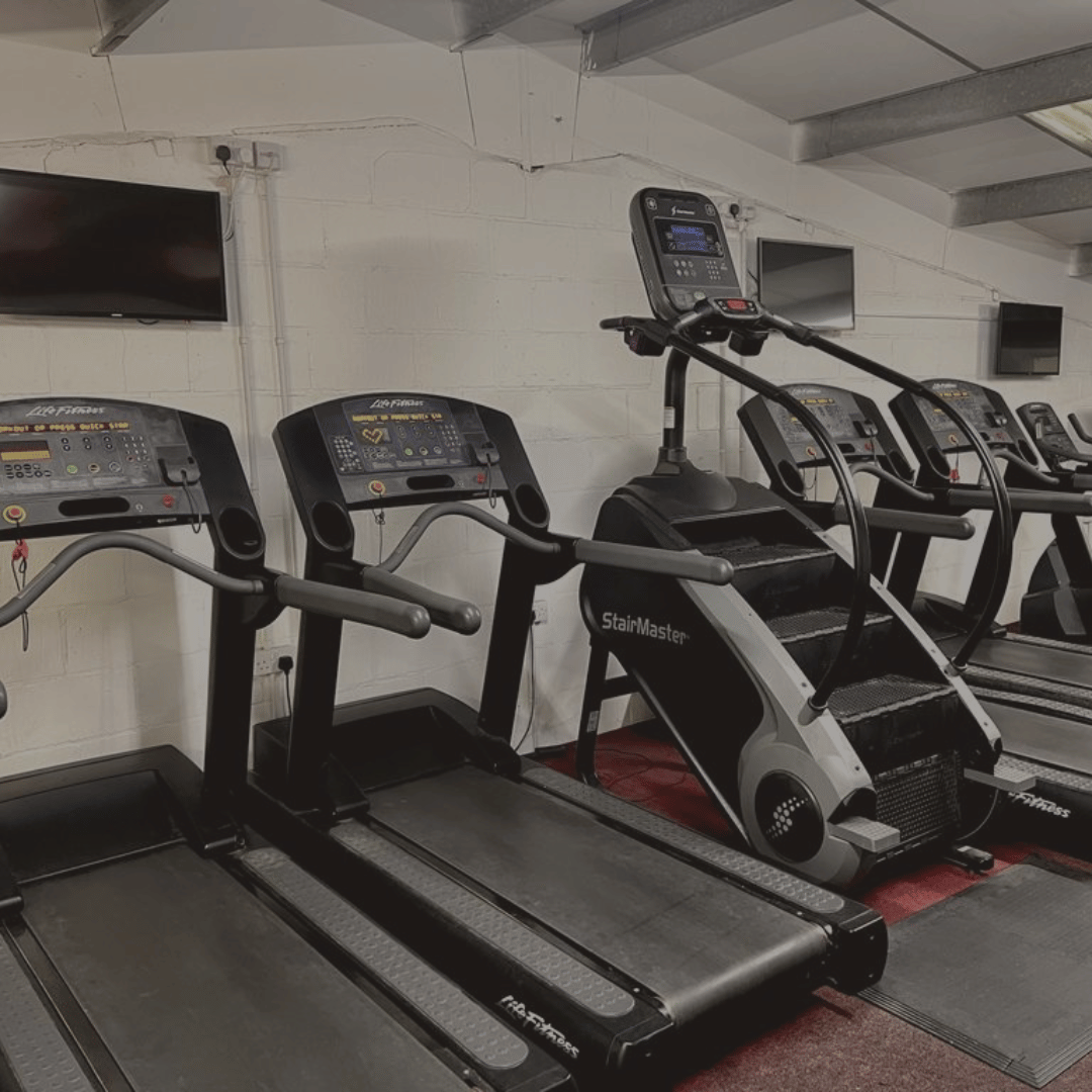 Treadmills in Cardio Room